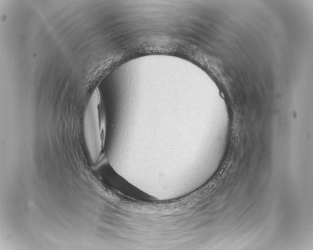 X0000086980017200705141727