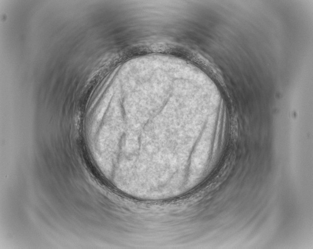 X0000086980018200705141727