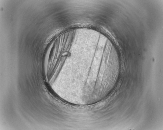 X0000086980019200705141727