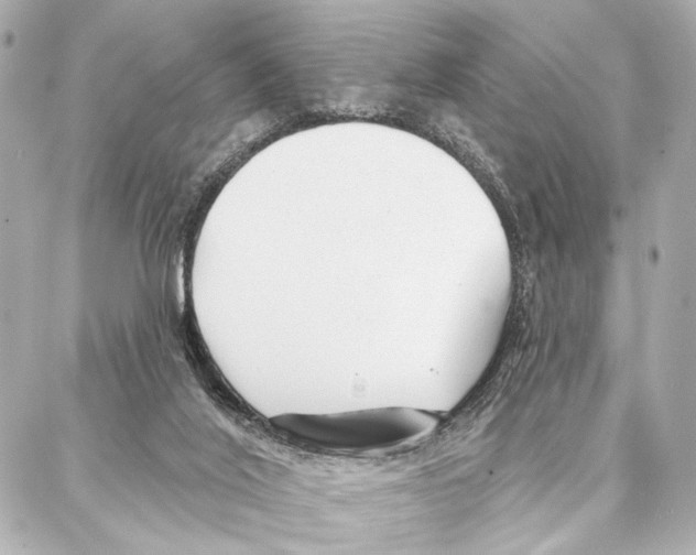 X0000086980020200705141727