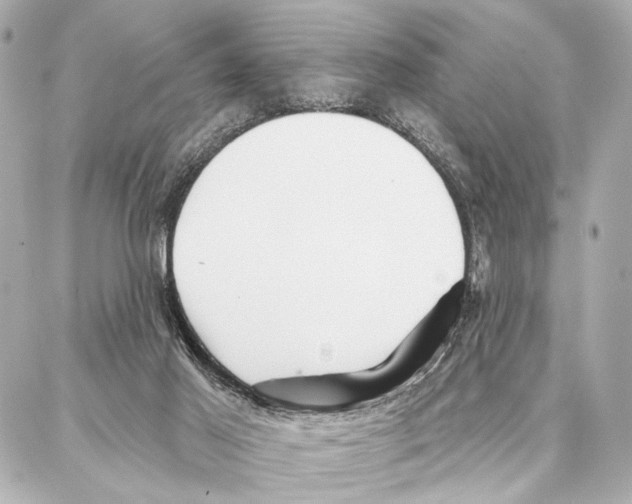 X0000086980021200705141727