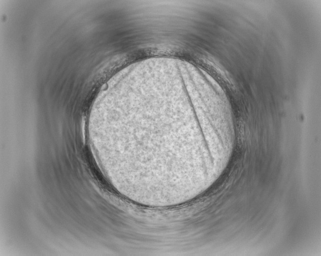 X0000086980022200705141727