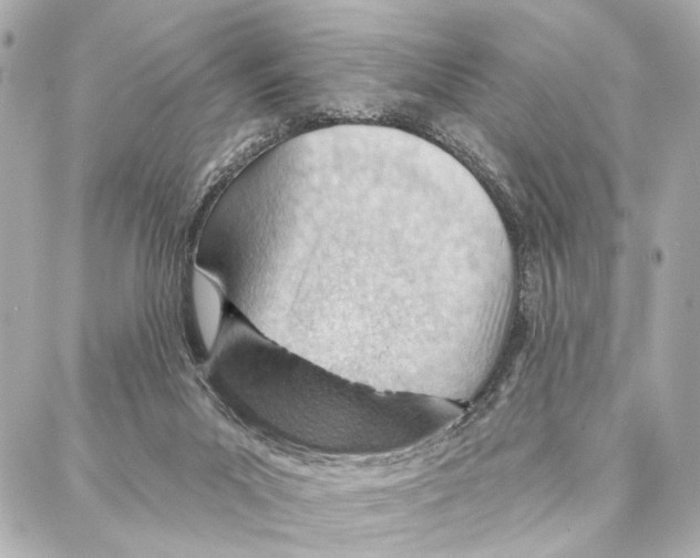 X0000086980023200705141727