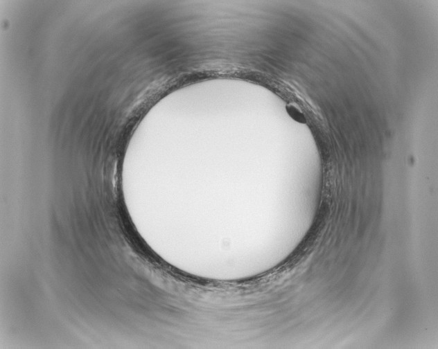 X0000086980024200705141727