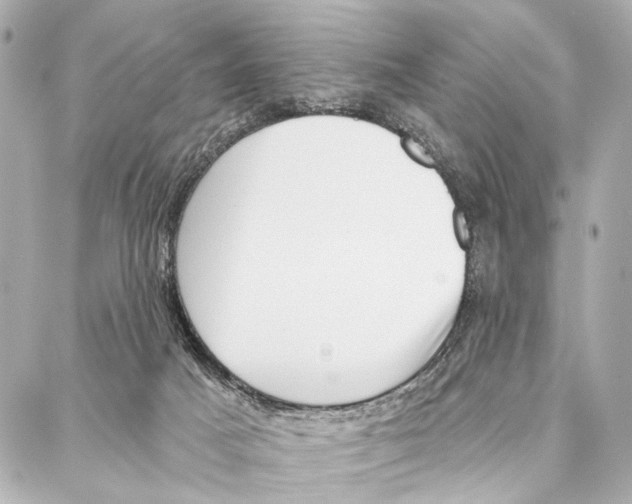 X0000086980025200705141727