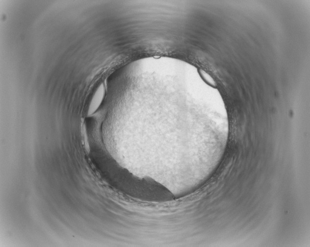 X0000086980027200705141727