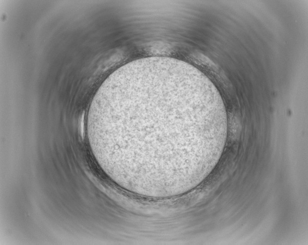 X0000086980028200705141727