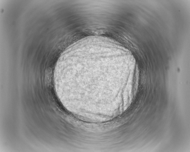 X0000086980030200705141727