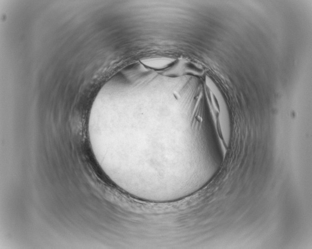 X0000086980031200705141727