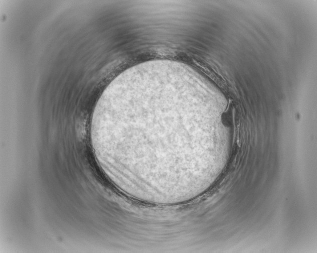 X0000086980032200705141727