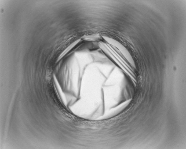 X0000086980033200705141727