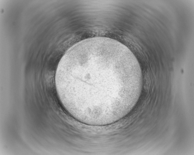 X0000086980034200705141727