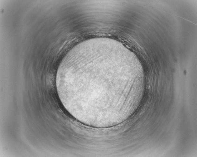 X0000086980035200705141727