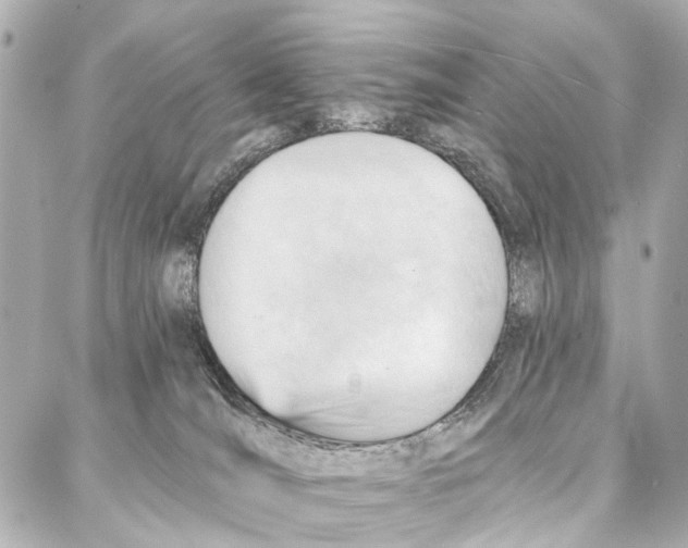 X0000086980036200705141727