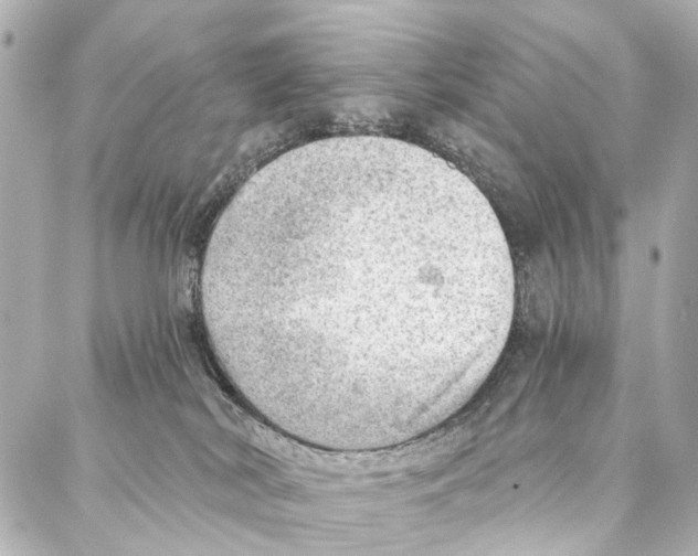 X0000086980038200705141727