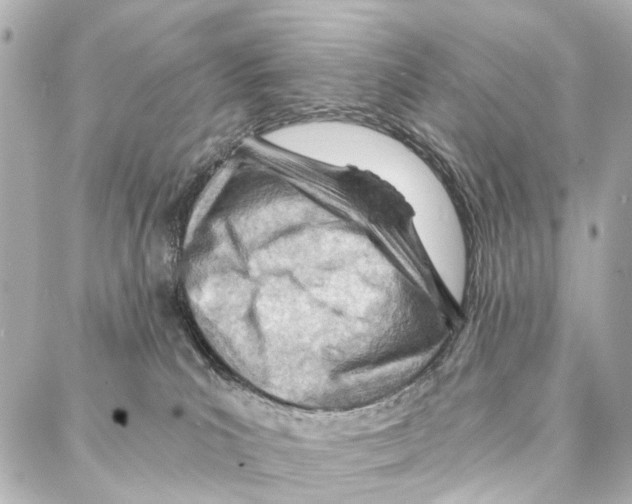 X0000086980039200705141727