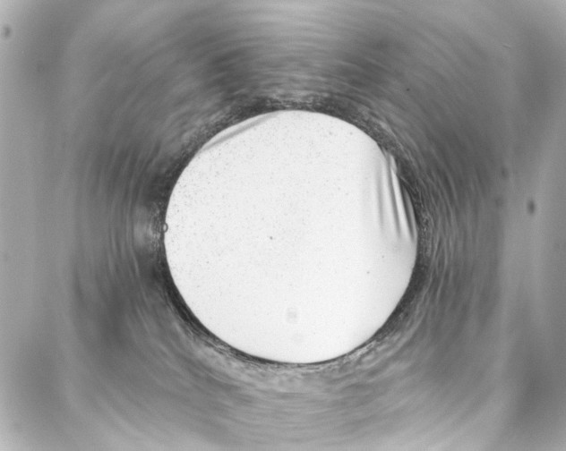 X0000086980040200705141727