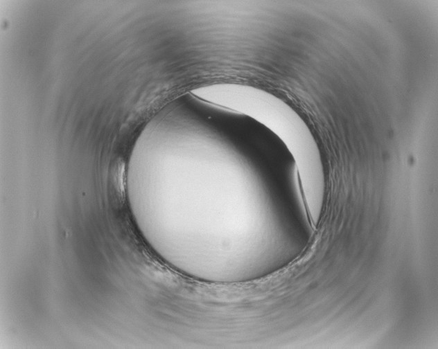 X0000086980041200705141727