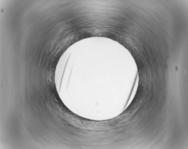 X0000086980044200705141727