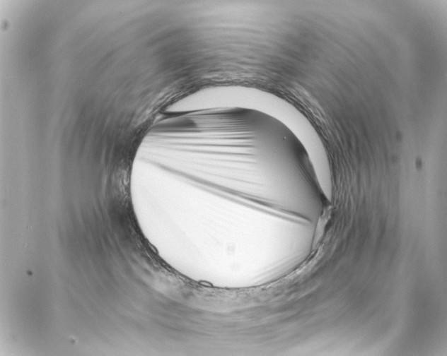 X0000086980045200705141727