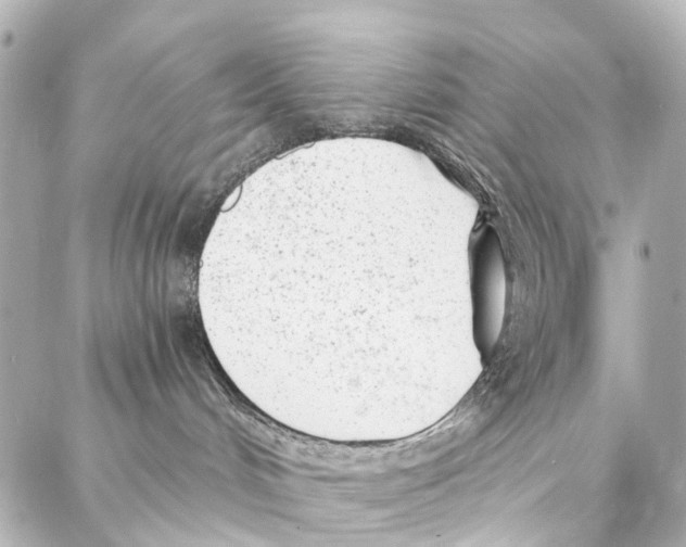 X0000086980048200705141727