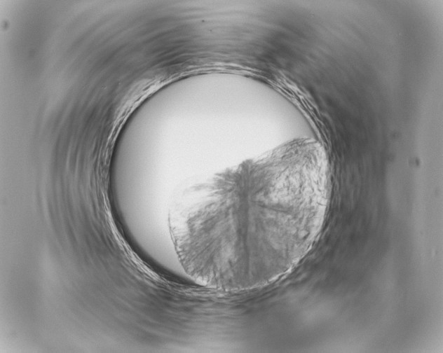 X0000086980049200705141726