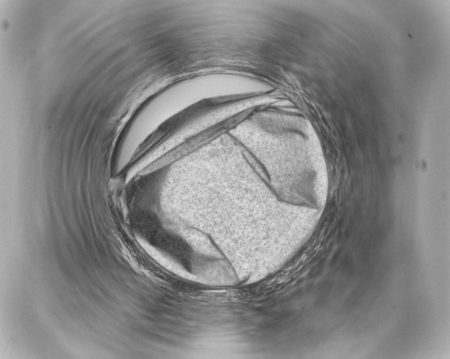 X0000086980050200705141726