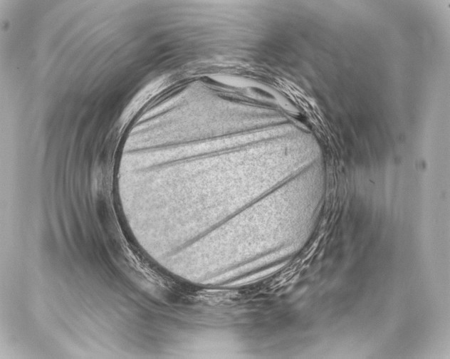 X0000086980051200705141726