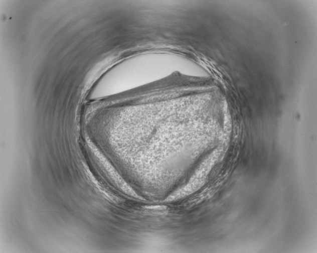 X0000086980053200705141726