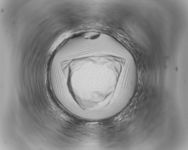 X0000086980054200705141726