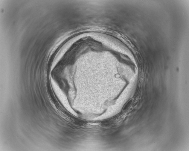 X0000086980055200705141726