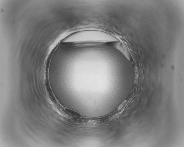 X0000086980056200705141726