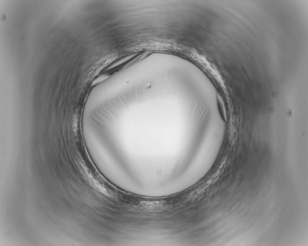 X0000086980057200705141726