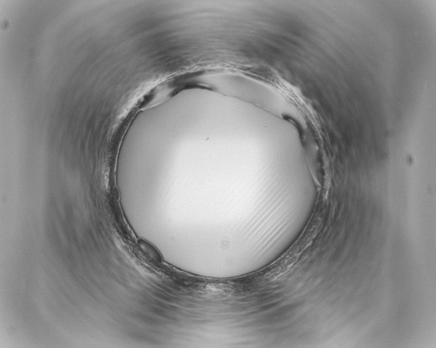 X0000086980060200705141726