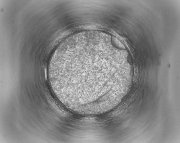 X0000086980061200705141726