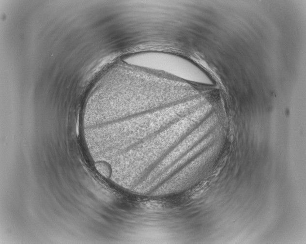 X0000086980062200705141726