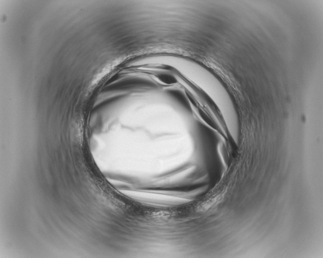 X0000086980064200705141726