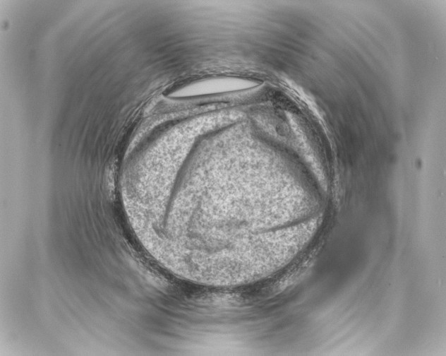 X0000086980065200705141726