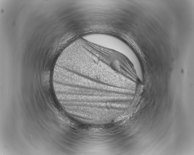 X0000086980066200705141726