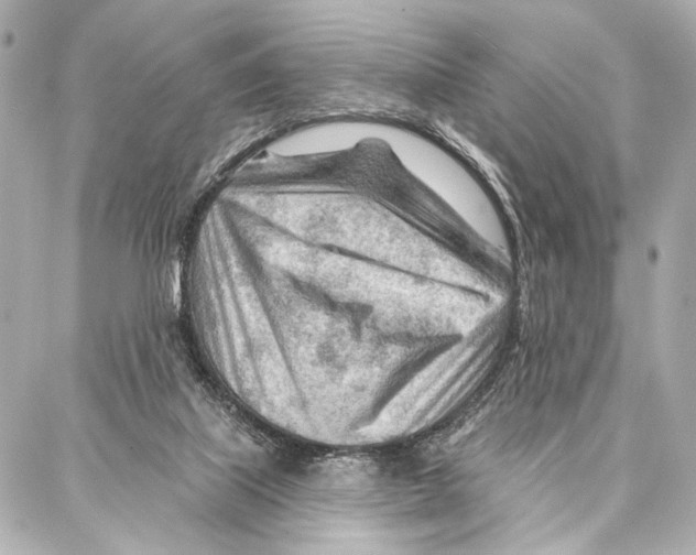 X0000086980067200705141726