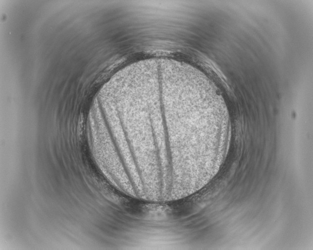 X0000086980073200705141726