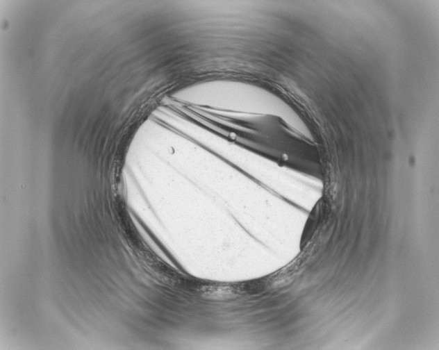 X0000086980074200705141726