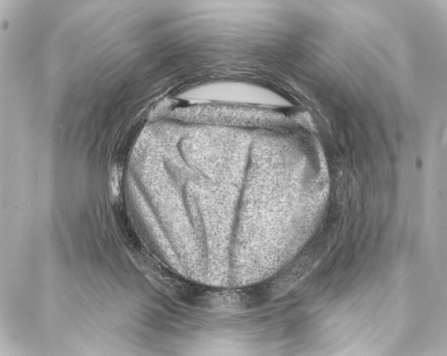 X0000086980075200705141726