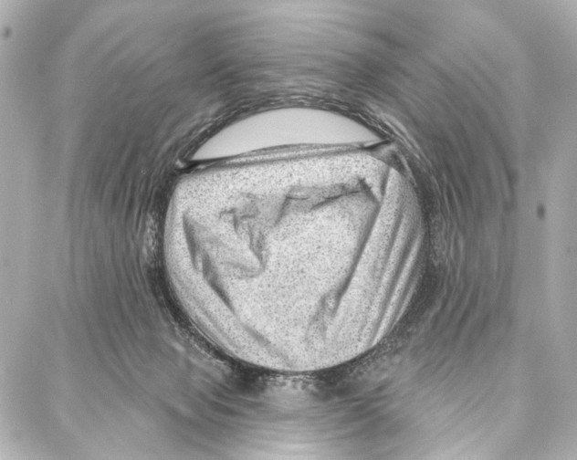 X0000086980077200705141726