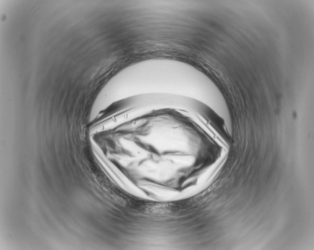 X0000086980078200705141726