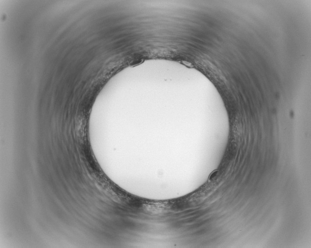 X0000086980079200705141726