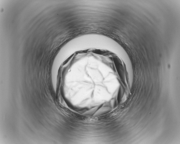 X0000086980080200705141726