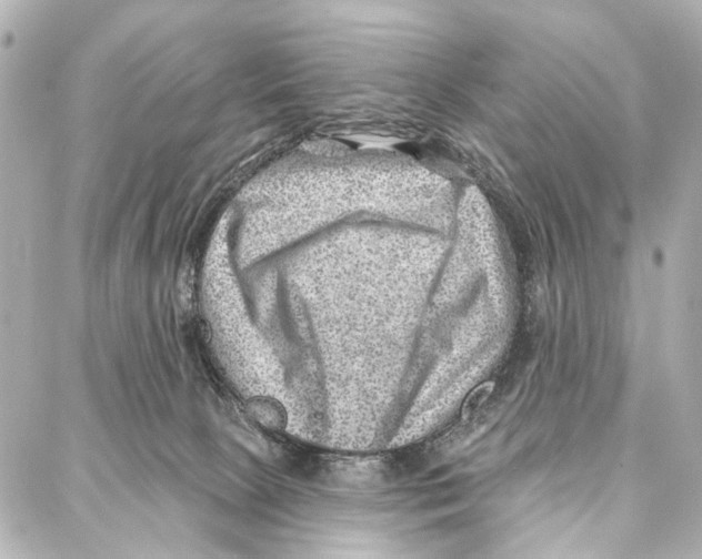 X0000086980081200705141726