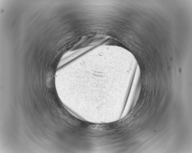 X0000086980082200705141726