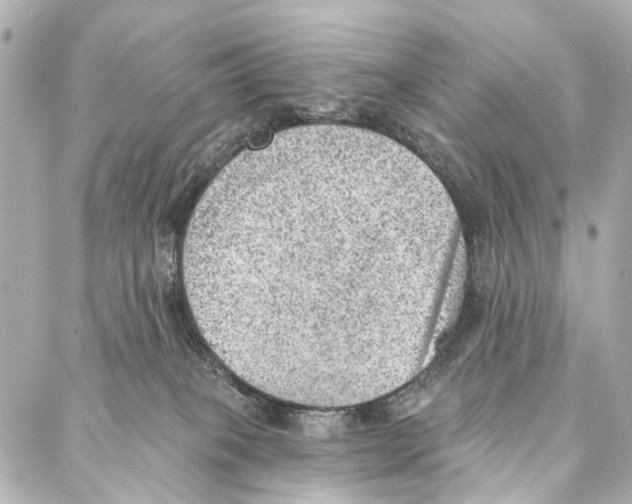 X0000086980085200705141726